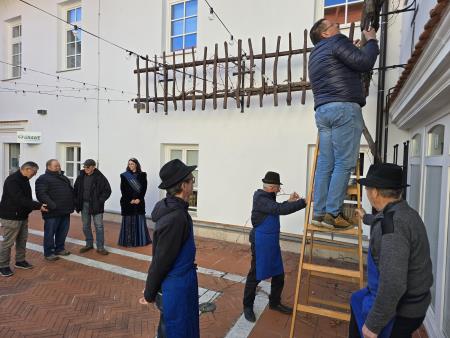 Rez trte MH Ljutomer (2)